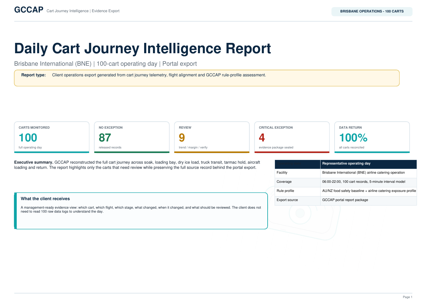 Representative GCCAP client export report preview from the printable report design